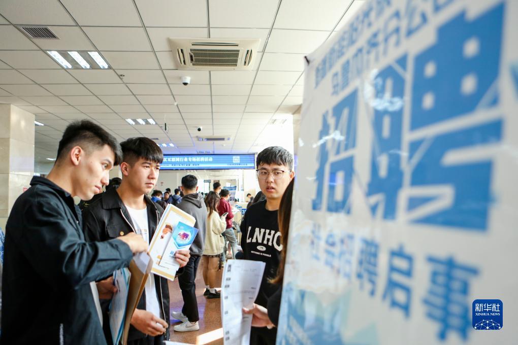 鱼丸游戏pc